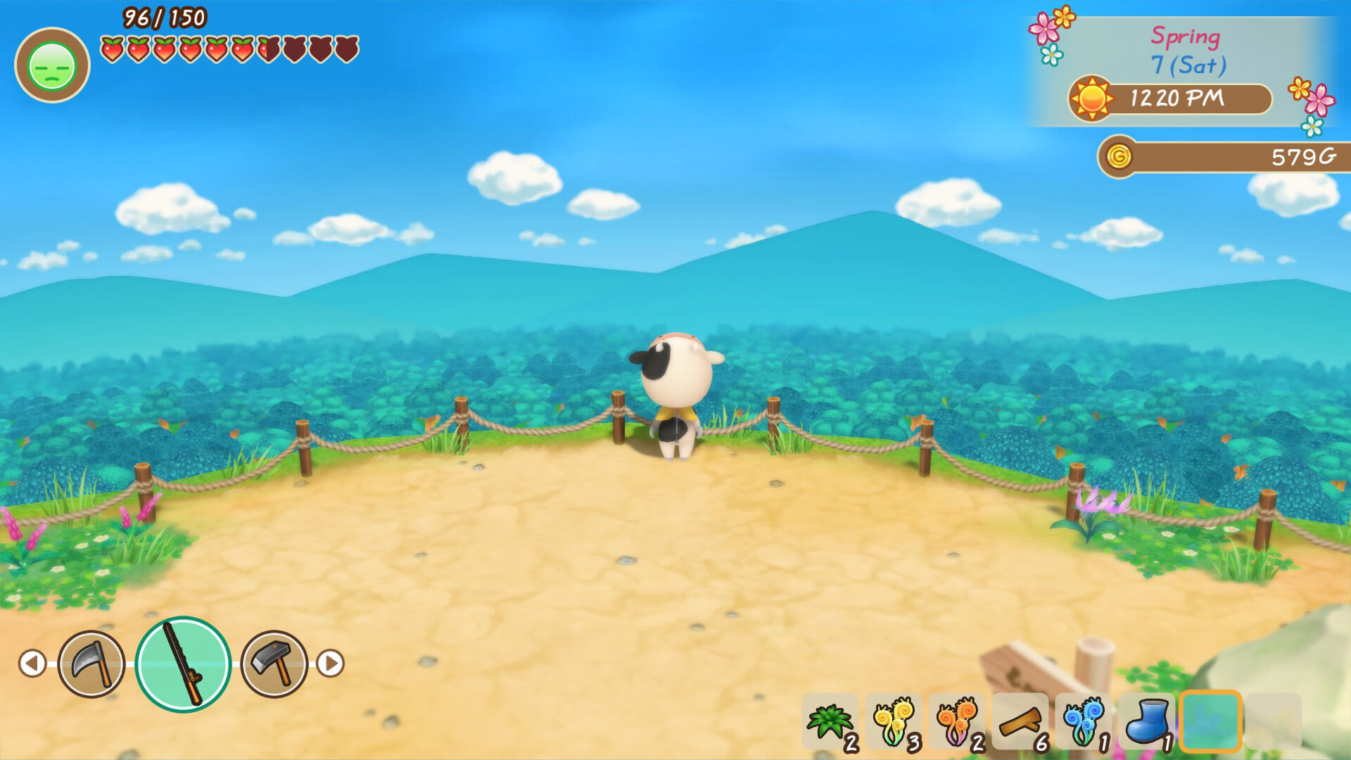 Story Of Seasons Friends Of Mineral Town Video Games Advance